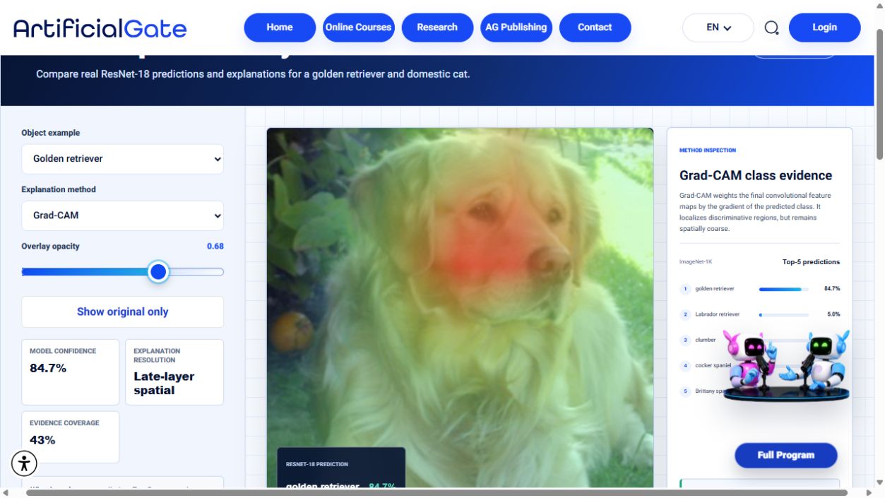 Explainability Lab simulator preview